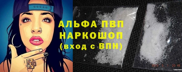 спиды Аркадак