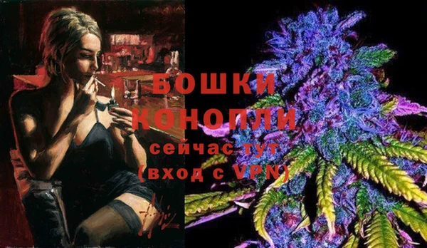 спиды Аркадак